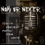 DJ Switch Now Or Never MP3